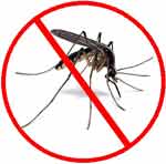 Anti mosquito 8